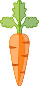 Important Ingredients Tips 6 important ingredients carrots 1