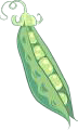 Important Ingredients Tips 13 important ingredients green peas 1