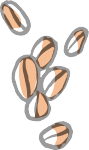 Important Ingredients Tips 15 important ingredients lentils 1