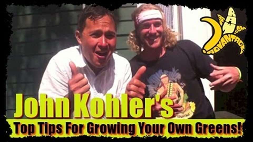 john kohler top tips growing your own greens