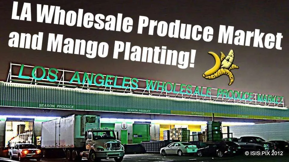 Best Wholesale Produce in LA