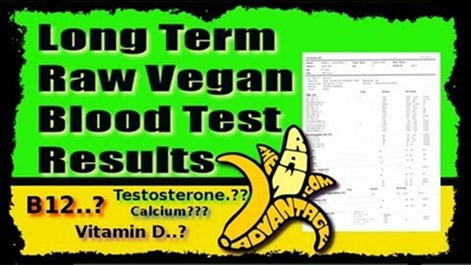 long term raw vegan blood test results