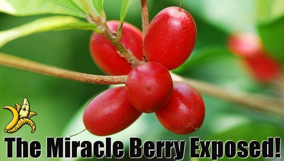 The Miracle Berry Exposed!