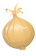 Important Ingredients Tips 22 onion