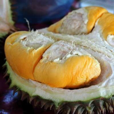 penang durian