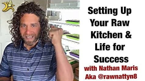 setting up your raw kitchen and e1688907877273