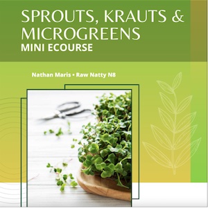 Raw Food in the Winter Made Easy with Lissa @RawFoodRomance 5 sprouts