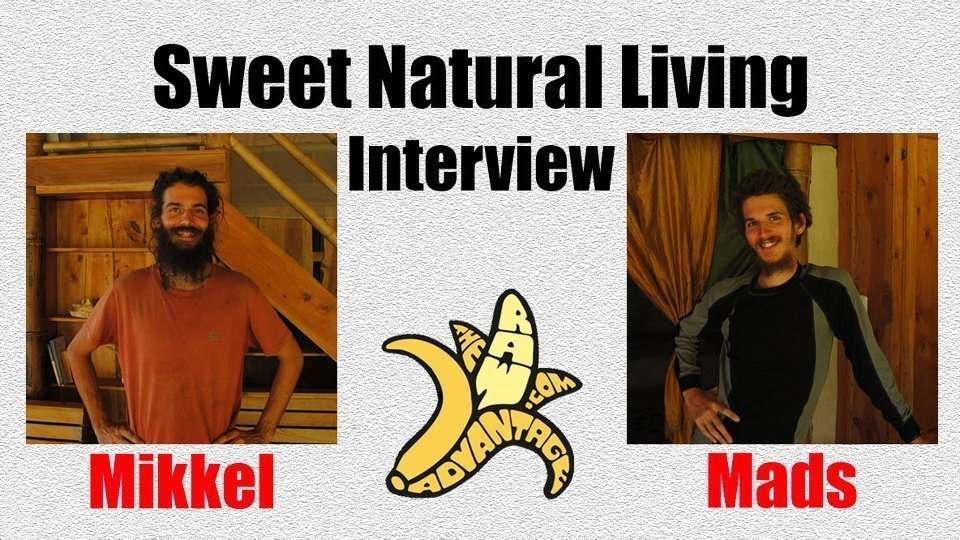 sweet natural living interview mads mikkel
