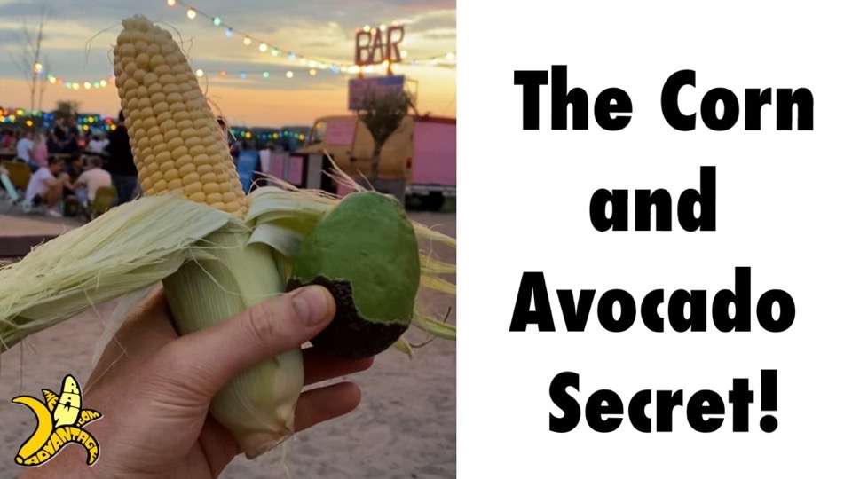 the corn and avocado secret