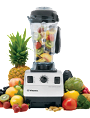 vitamix blender