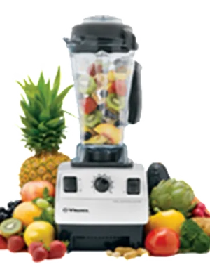vitamix blender