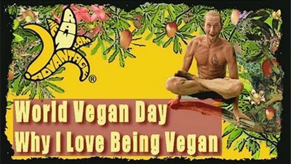 World Vegan Day, Why I love Being Vegan
